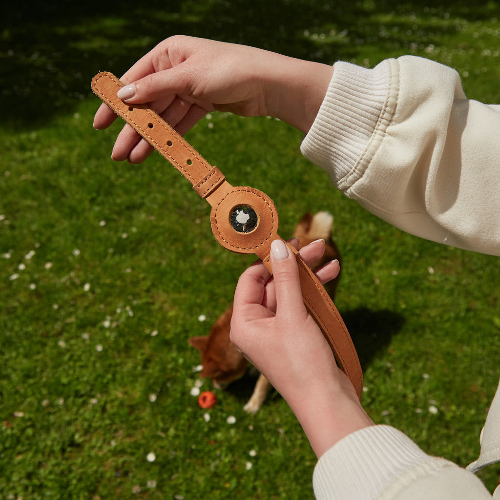 Guler din piele Tiny Air Collar pentru catei, caini mici si mijlocii