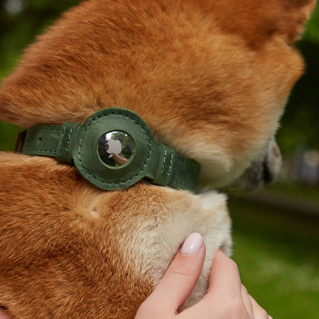 Guler din piele Tiny Air Collar pentru catei, caini mici si mijlocii