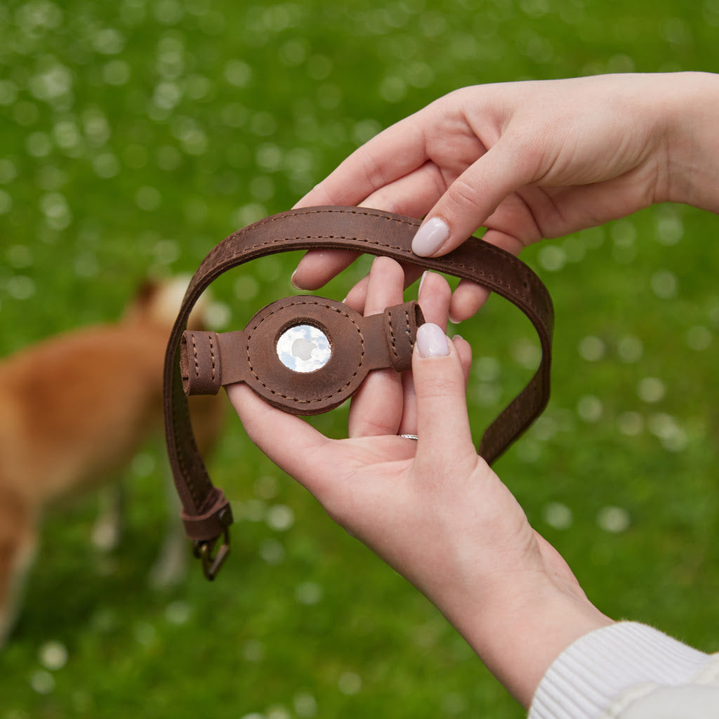 Guler din piele Tiny Air Collar pentru catei, caini mici si mijlocii
