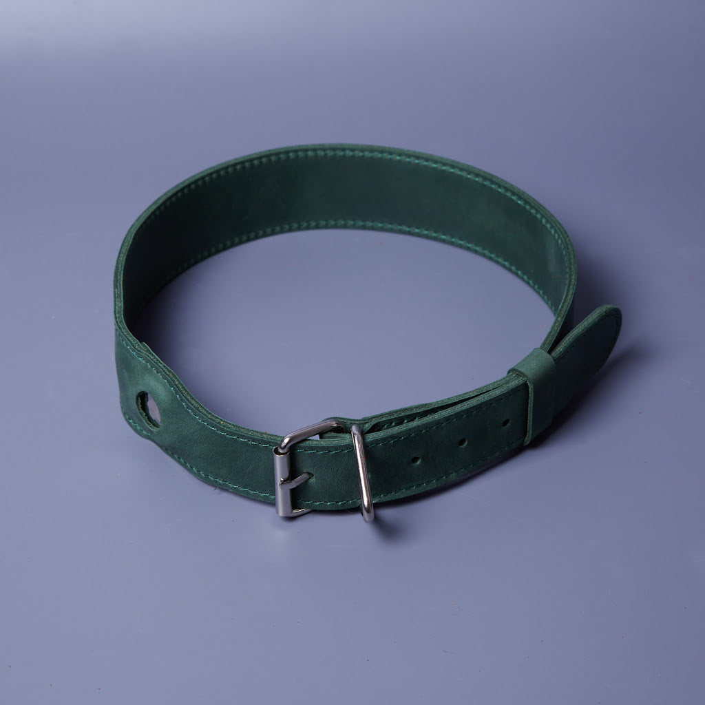 Air Collar leather collar for medium dog breeds with AirTag holder