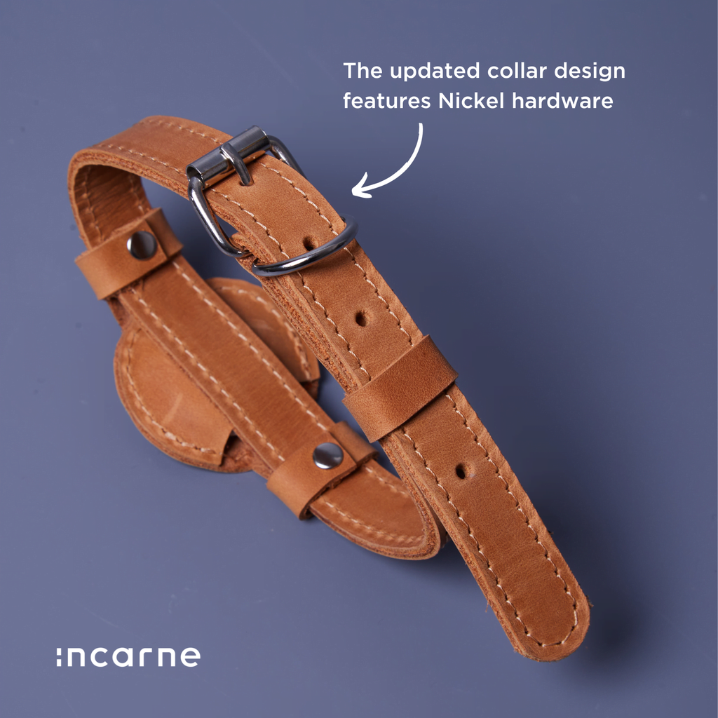 Guler din piele Tiny Air Collar pentru catei, caini mici si mijlocii